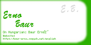 erno baur business card